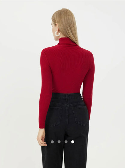 Turtle Neck Knit Top // Red