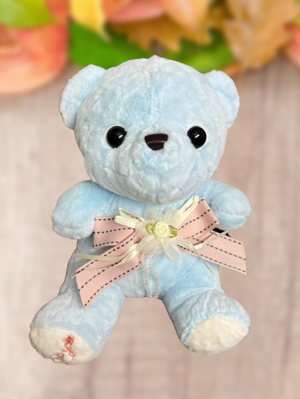 Happy Teddy Soft Toy // Baby Blue