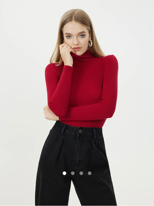 Turtle Neck Knit Top // Red