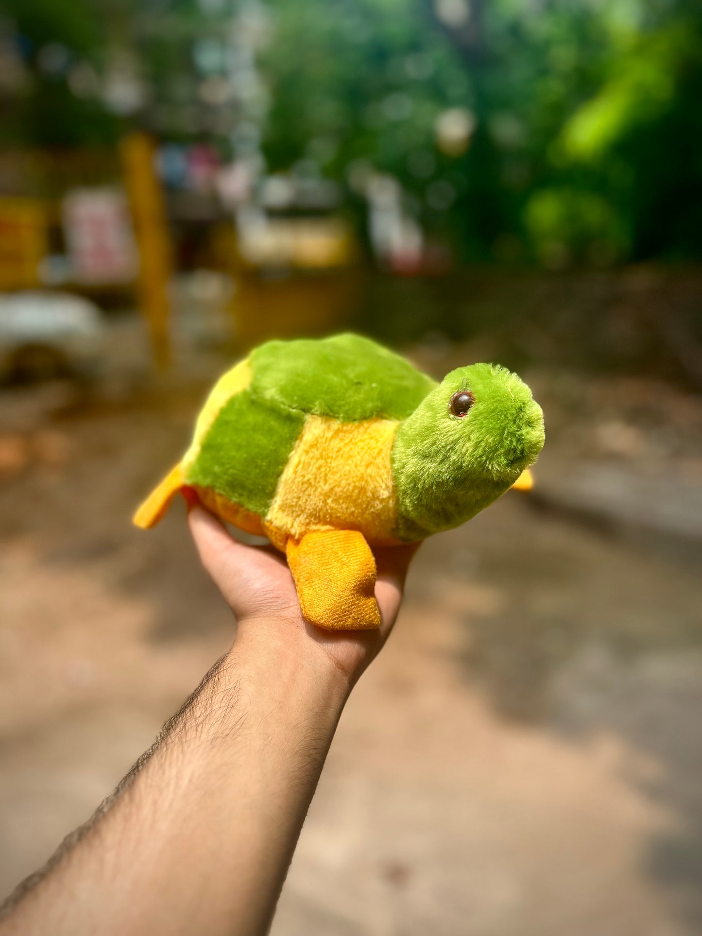 Turtle Plush Soft Toy