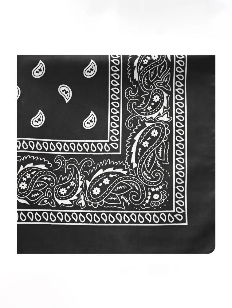 Scarf // 011