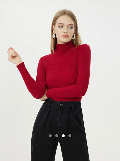 Turtle Neck Knit Top // Red